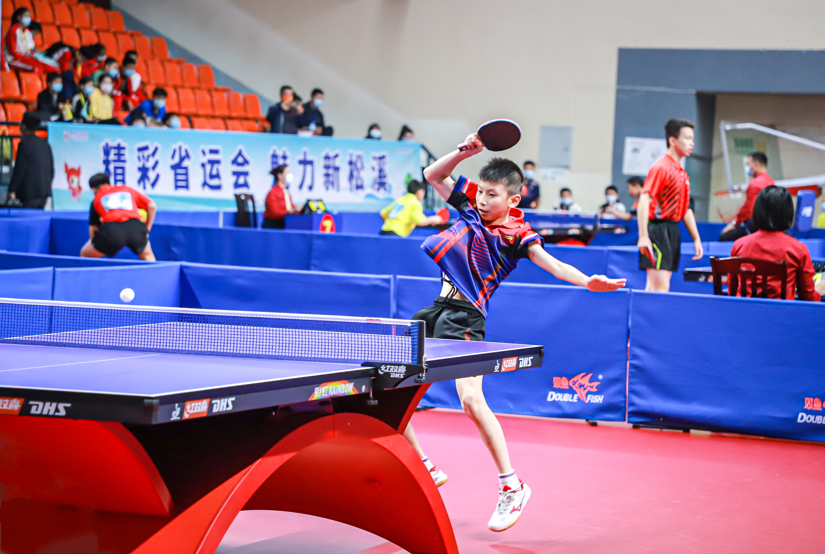 武切维奇为 武切维奇为